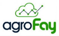 Blog Agrofay